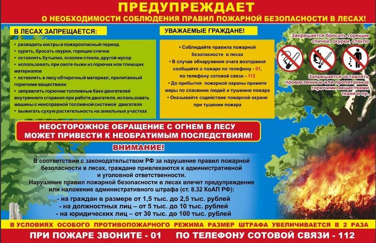 Пожарная безопасность в лесах.