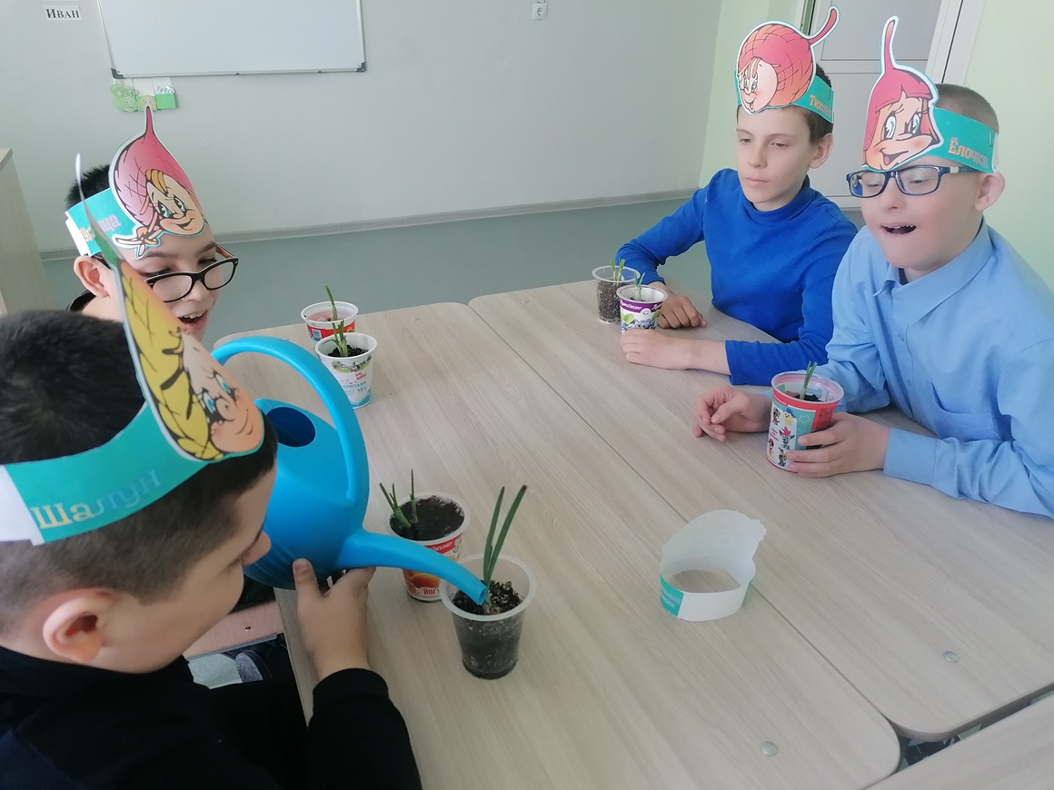Урок Эколят в 6-в классе.