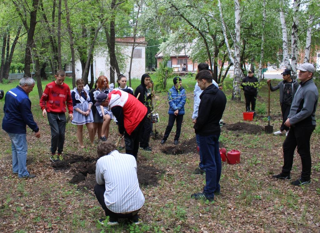 Посадка деревьв.