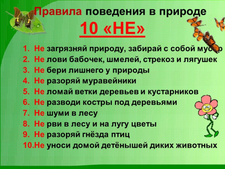 Правила поведения на природе.